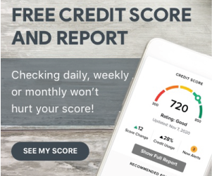 SavvyMoney Free Credit Score